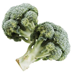 Fresh Organic Garlic